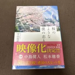 桜のような僕の恋人