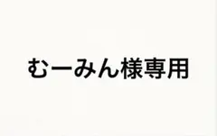 むーみん様専用