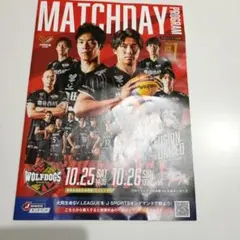 ウルフドッグス名古屋　チラシ1枚