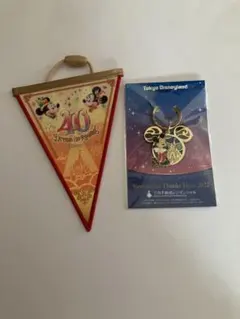 東京ディズニーランド 三井不動産レジデンシャルキーホルダー　➕おまけ