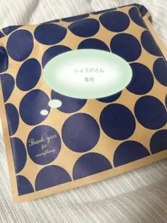 しょうがさん専用 詰め合わせ