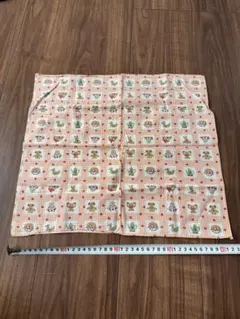 Item thumbnail for item 6ef0d7ba-042e-4213-a9f3-44fcc3634bf0