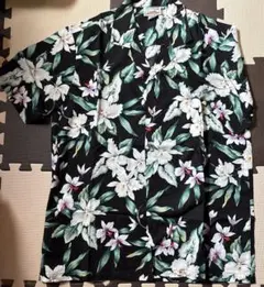 Item thumbnail for item 5f38555a-802b-47ba-88f8-05ea6429396a