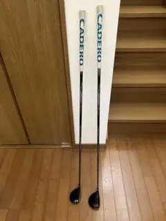 Item thumbnail for item 96e4572d-401f-49d9-98ab-0fdcbf3b8eed