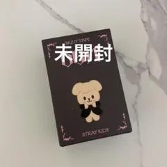 StrayKids スキズ doit スピーカー パピーム - メルカリ