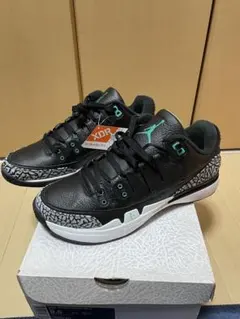新品未使用NIKE ZOOM VAPOR RF X AJ3 27.5cmのサムネイル