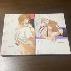 Item thumbnail for item 2e5781c0-e00a-4a8e-872c-88667bd54a2e