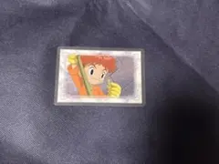 デジモンアドベンチャー02 カードダス 1999年の選ばれし子供たち