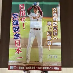 広島カープ 江夏豊投手ポスター 広島カープ 江夏豊投手ポスター - メルカリ