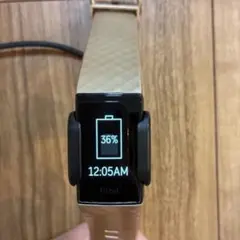 Fitbit Charge 4 本体
