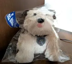 アインシュタイン キャラクターグッズ