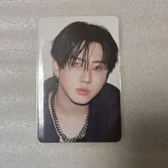 Stray Kids チャンビン KARMA SKZOO Ver. トレカ