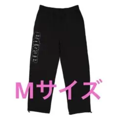 aespa SYNK aeXIS LINE スウェットパンツ Mサイズ