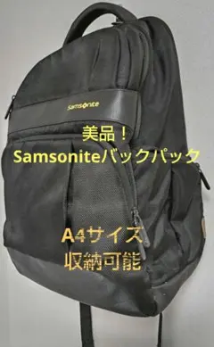2026年最新】Samsonite メンズ リュック・バックパックの人気アイテム 