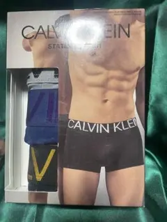 CALVIN KLEIN STATEMENT 1981 ボクサーパンツ