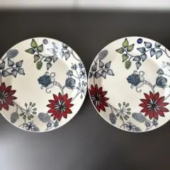 廃盤品】ルノ Runoウィンタースター/プレート26cm×2枚 - メルカリ