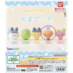 カプセルフロッキーズ　めめっち