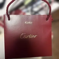 DIOR・LOUIS VUITTON・CHANEL ショップ袋セット22枚