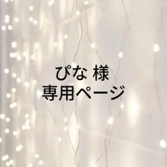 ぴな 様 専用ページ