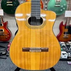 2026年最新】takamine nptの人気アイテム - メルカリ