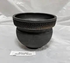 spicygem x 鶴仙園 plants stool spicygem × cj plants x 鶴仙園 studs pot