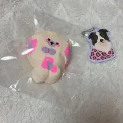 スクイーズ　どんどん　くまさんマフラー