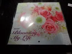 Item thumbnail for item 9ad08488-87ee-4c32-8467-eaeb9805c6ce