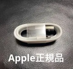 iPhone 正規品　充電器　ケーブル　0