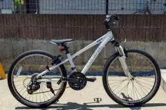 【引取り限定】ルイガノ LOUIS GARNEAU 24インチ マウンテンバイクのサムネイル