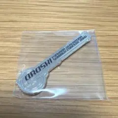 嵐 会場限定 ガチャ 歴代ツアー ロゴマグネット 台風ジェネレーション