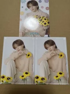 FANTASTICS 中島颯太 SUNFLOWER フォトカ 3枚セット