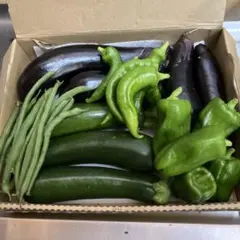 農薬不使用　新鮮野菜詰め合わせセットのサムネイル