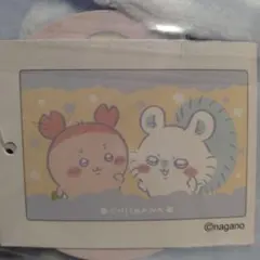 ちいかわ 超BIGマイヤーブランケット モモンガ＆古本屋