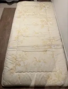 Item thumbnail for item ddd23b40-b071-4c8e-82fe-99766685e37e