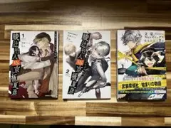文豪ストレイドッグス 外伝3冊セット