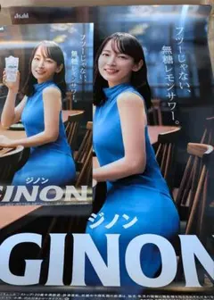 ジ*ン様 ☆貴重☆GINONポスター大小セット吉岡里帆さん - メルカリ