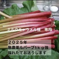 ミルクキャラメル様　専用　ルバーブ１キロ強