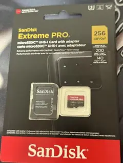SanDisk Extreme PRO 256GB