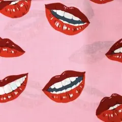 訳あり　5枚まとめ　アレキサンダーヘンリー　girl talk 輸入生地