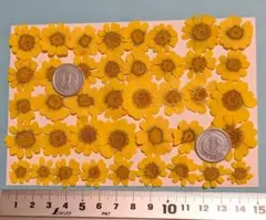 Item thumbnail for item 8389cd90-5fdc-408a-8981-2cd35068def9