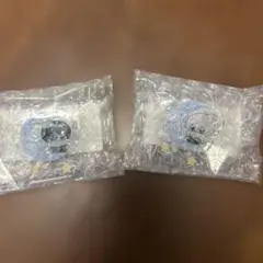 ブルーロック おなまえアクリルバッジ〜魔法のようせい〜　凪凛2個セット