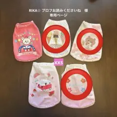 専用ページ