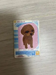 Item thumbnail for item 00761e59-1314-482b-a77b-8ebd4a28c4e8