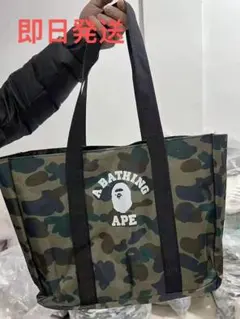 Item thumbnail for item 8949c35c-6b4b-4746-9f2d-f90dfe387199