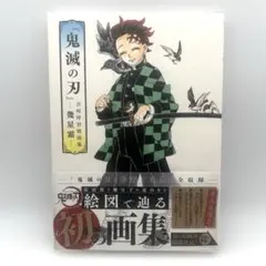 『鬼滅の刃』吾峠呼世晴画集―幾星霜―