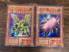 遊戯王【英語版】ホーリーナイトドラゴン& 完全究極態グレートモス