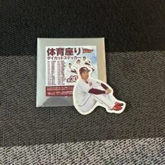 #58 楽天イーグルス 辛島航 体育座りステッカー
