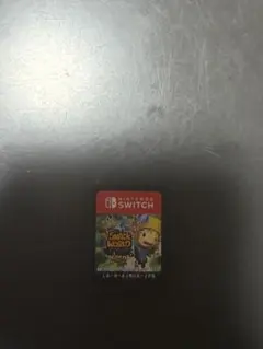 Nintendo Switch ソフト SNACK WORLD GOLD
