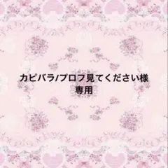 専用ページ