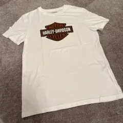 【美品】ハーレーダビッドソン ヘインズ Tシャツ M